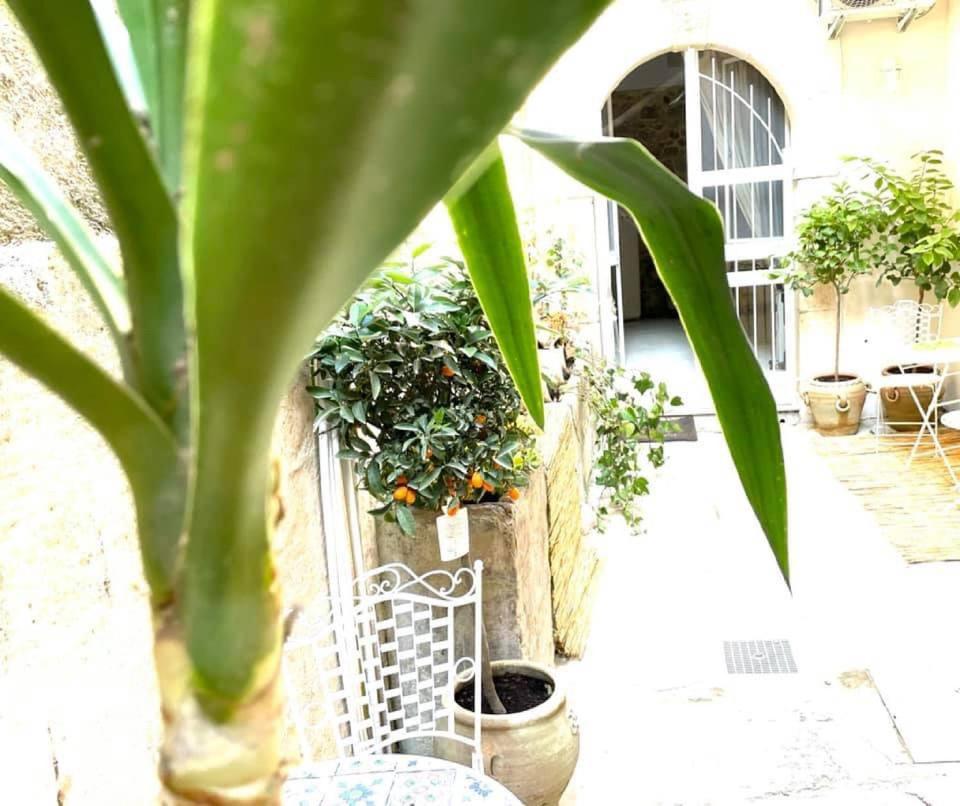 Lemon Suite Ortigia Syracuse Exteriér fotografie